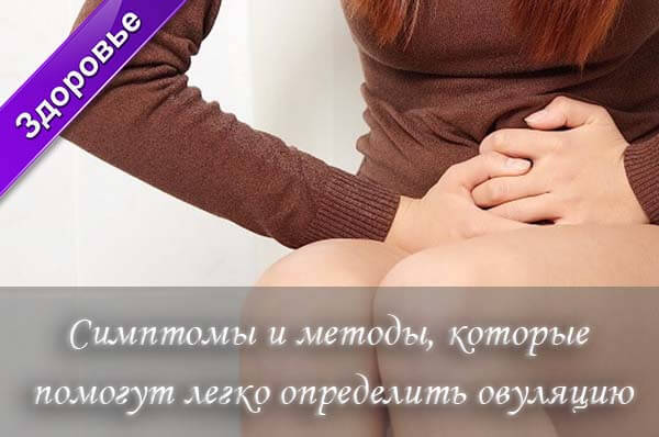 беременность во время овуляции, лучшее время забеременеть